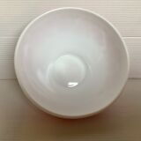 Red flowers bowl lotus Arcopal