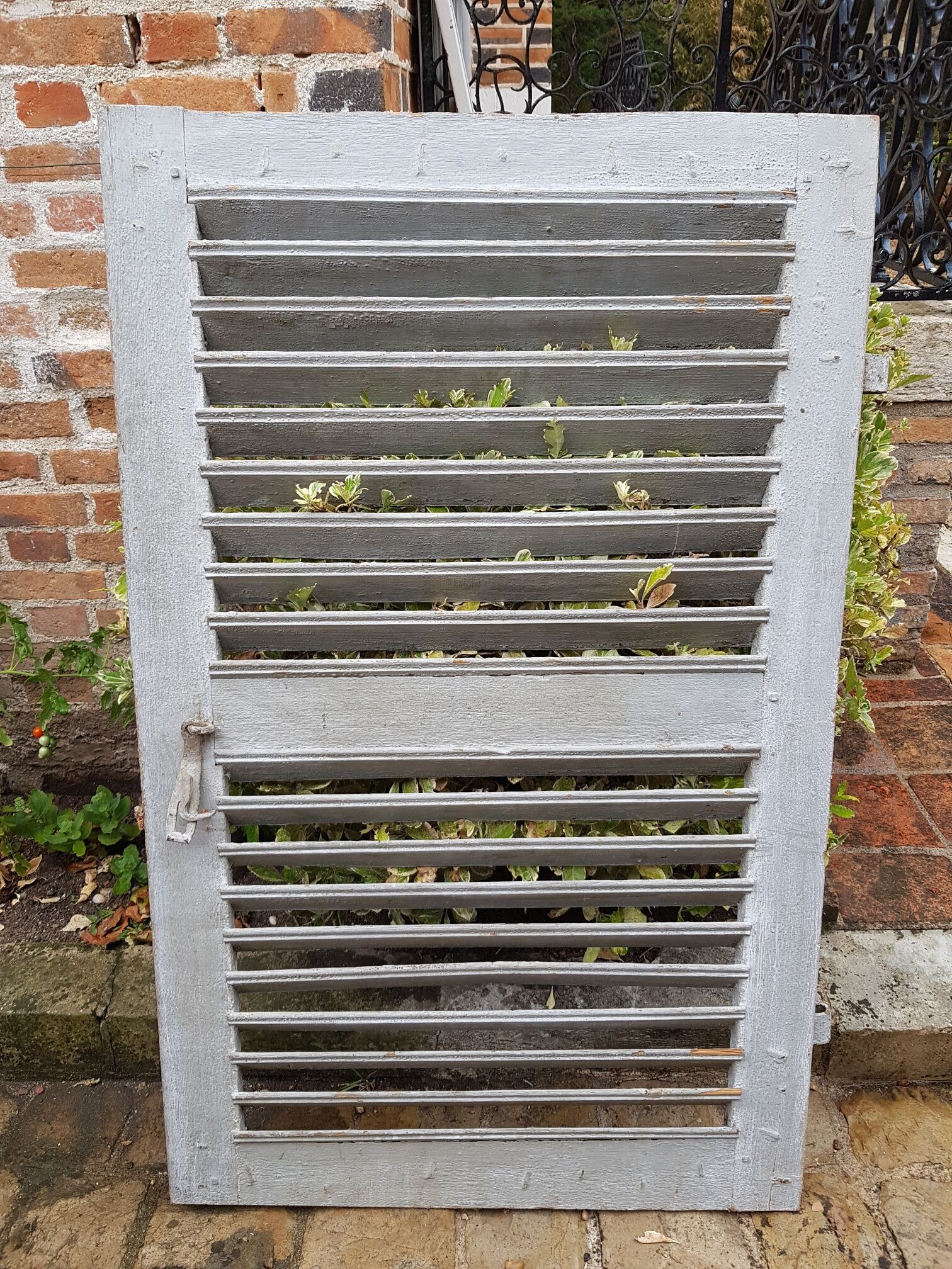 Provencal oak shutter