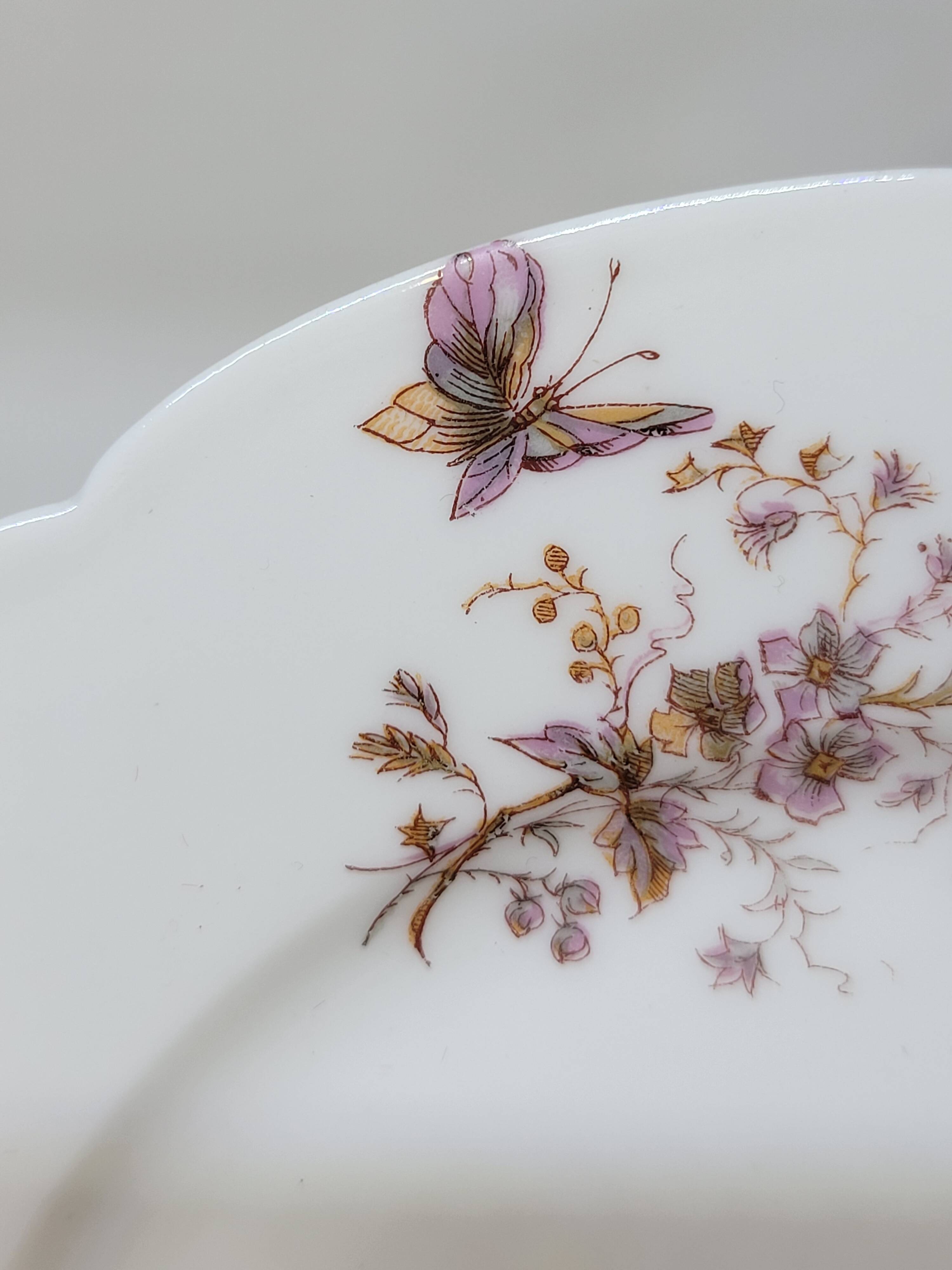 8 Superb Antique 19th Century Plates Decorated with Birds on Branches