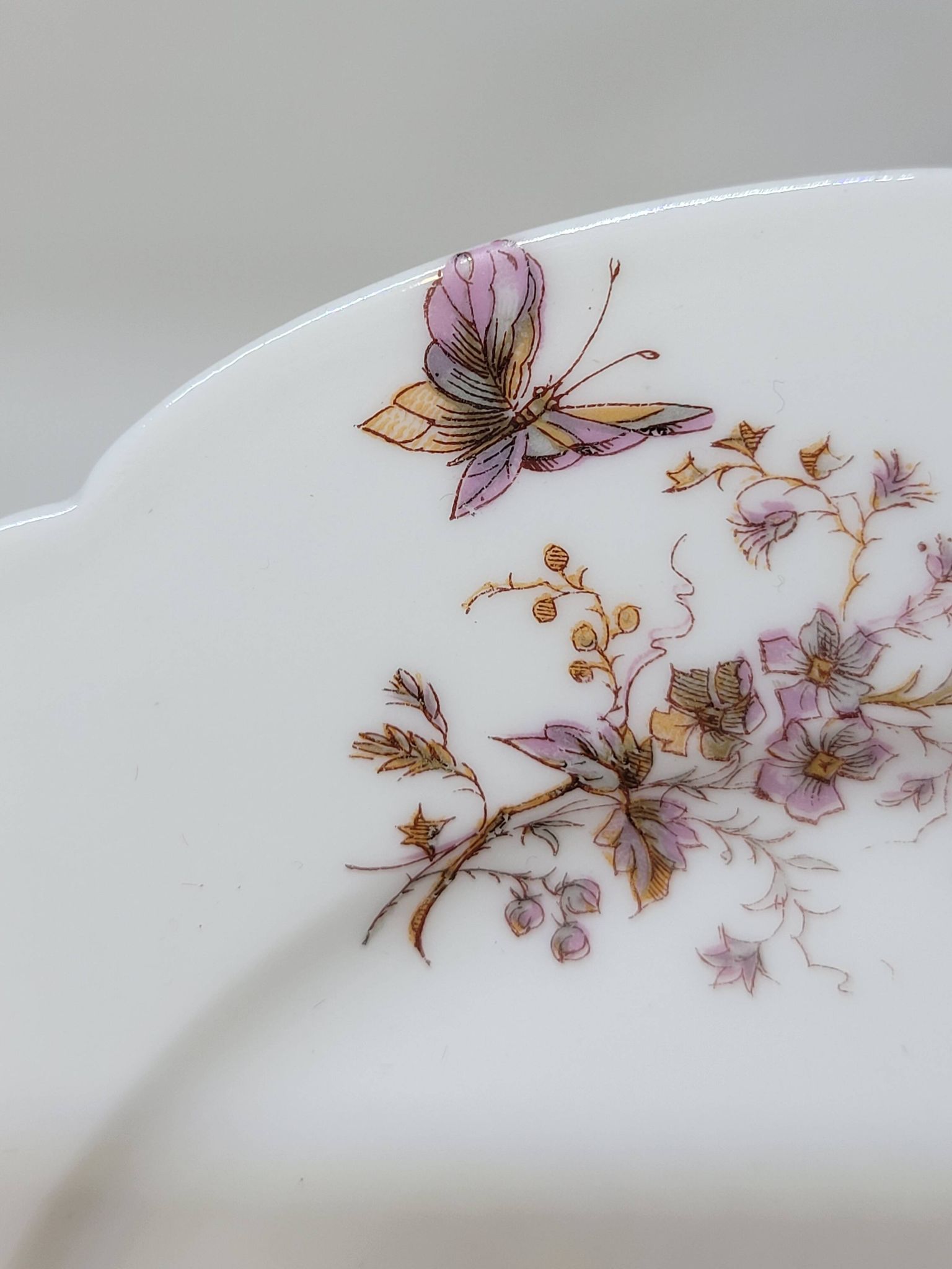 8 Superbes Assiettes Anciennes XIXème Décor Aux Oiseaux Sur Des Branches