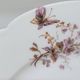 8 Superb Antique 19th Century Plates Decorated with Birds on Branches