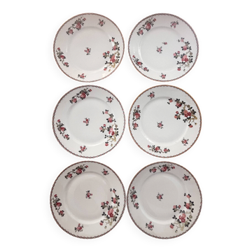 Assiettes Legrand & Cie