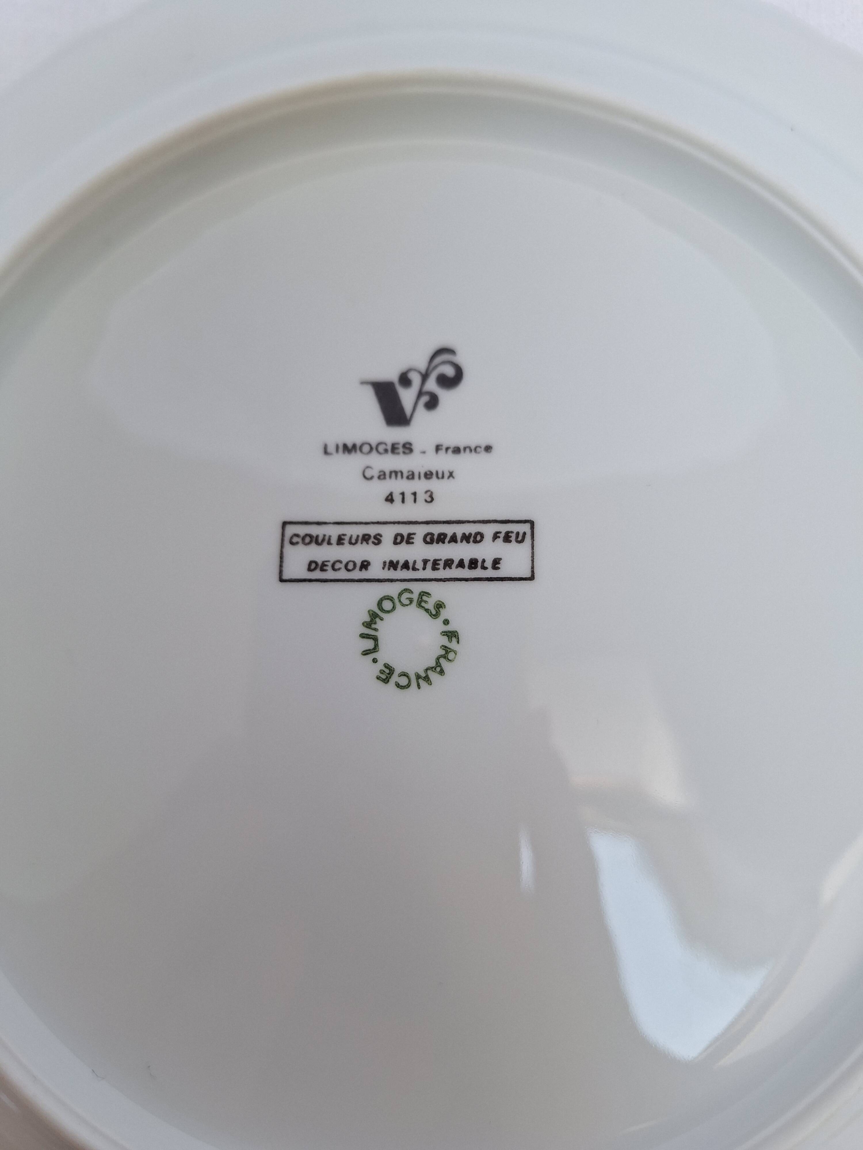 Vintage blue dinner plates