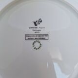 Vintage blue dinner plates