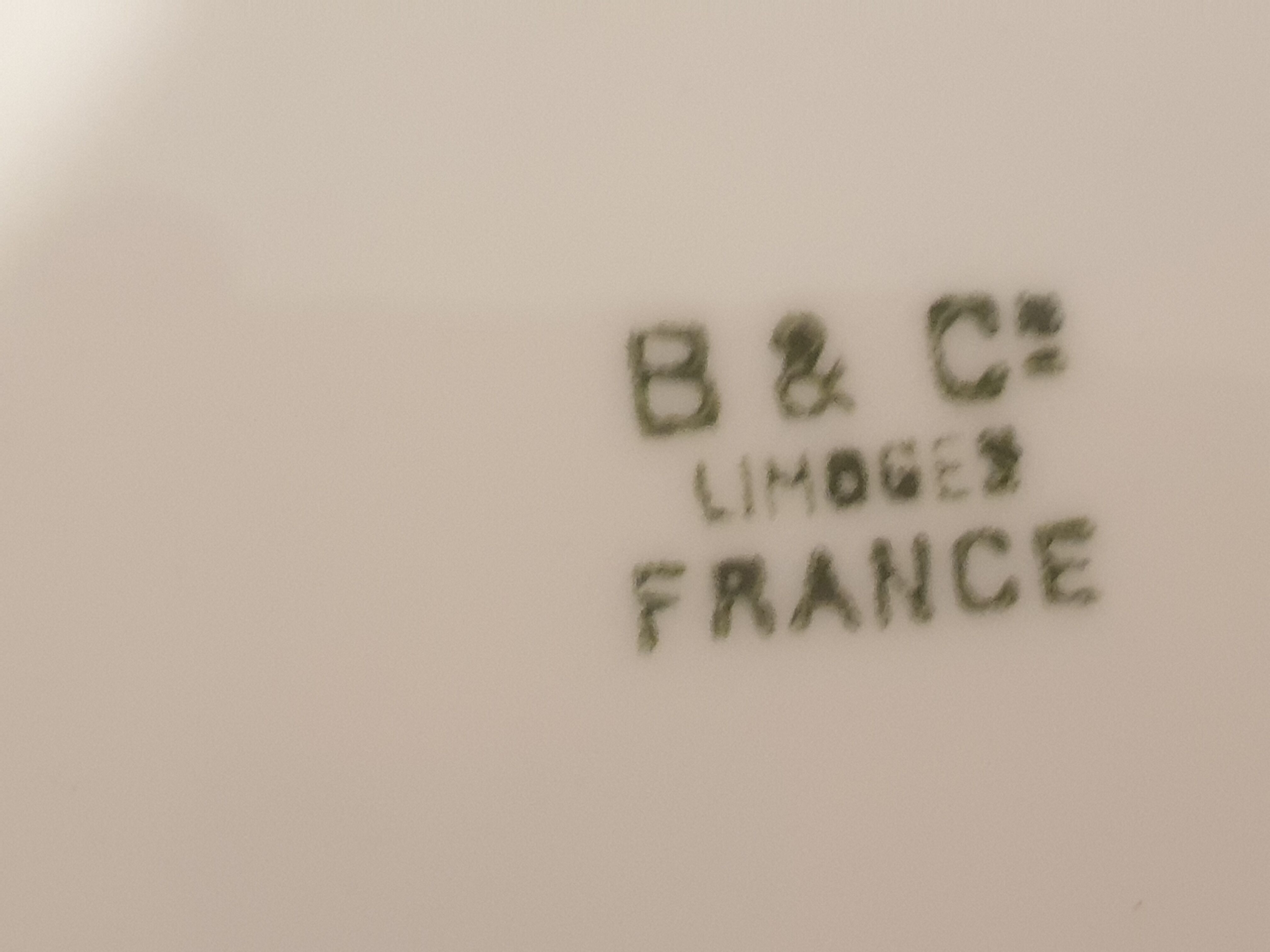 Limoges porcelain dessert plate