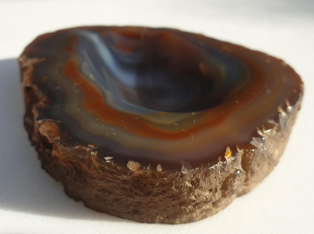 Petrified wood pocket tray