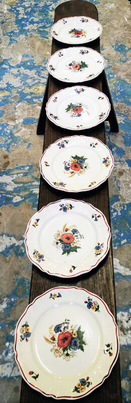 Lot of 6 dessert plates Sarreguemines model Agreste