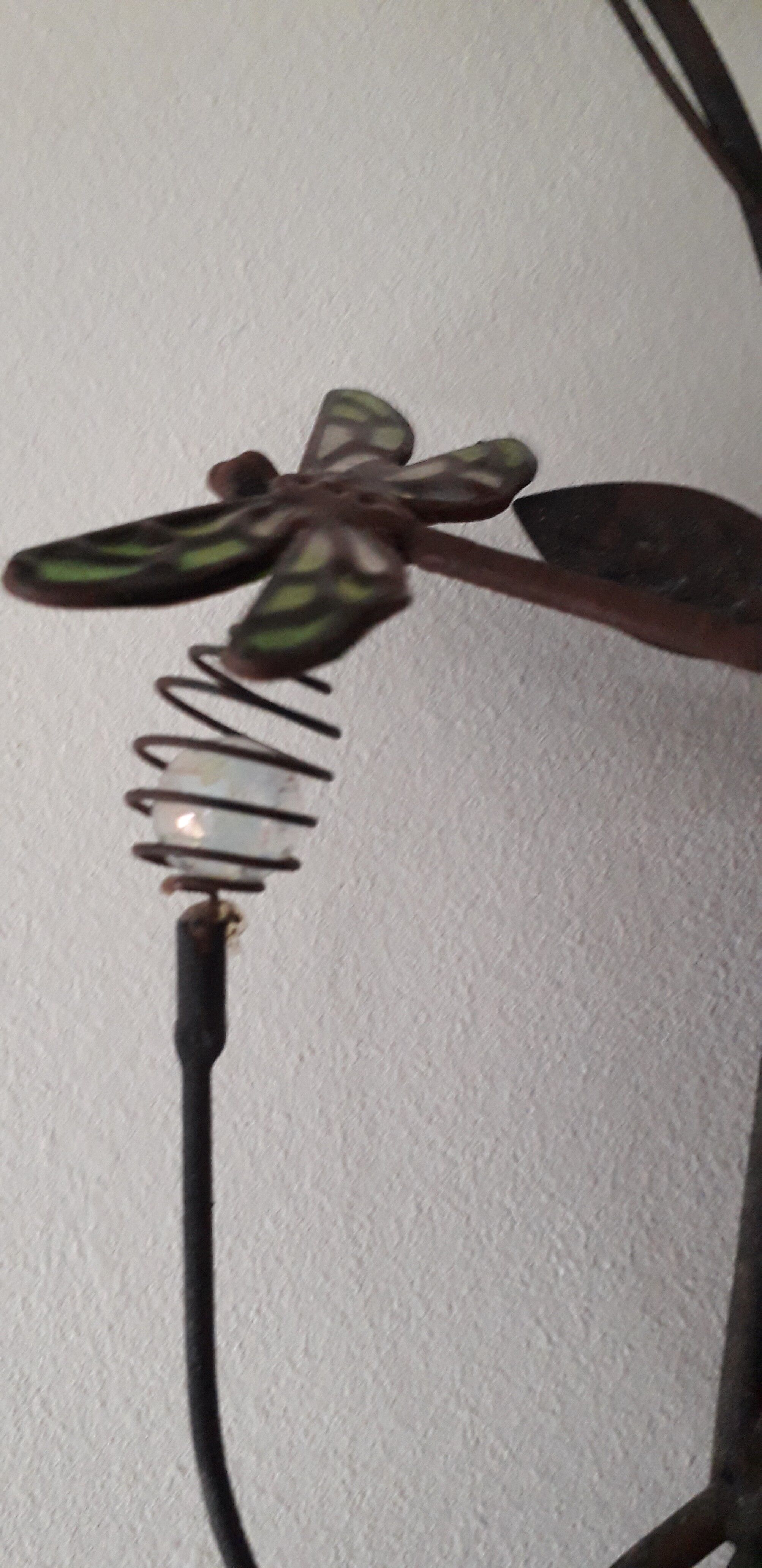 Mirror of shape with flower and dragonfly patterns