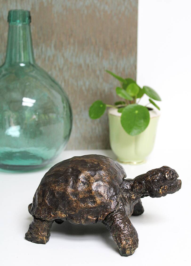 Turtle signed Closon