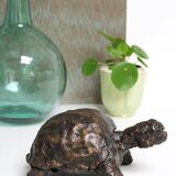 Turtle signed Closon