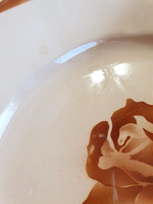 Set of 6 plates Digoin Sarreguemines