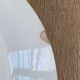 Lot 2 assiettes Terre de fer