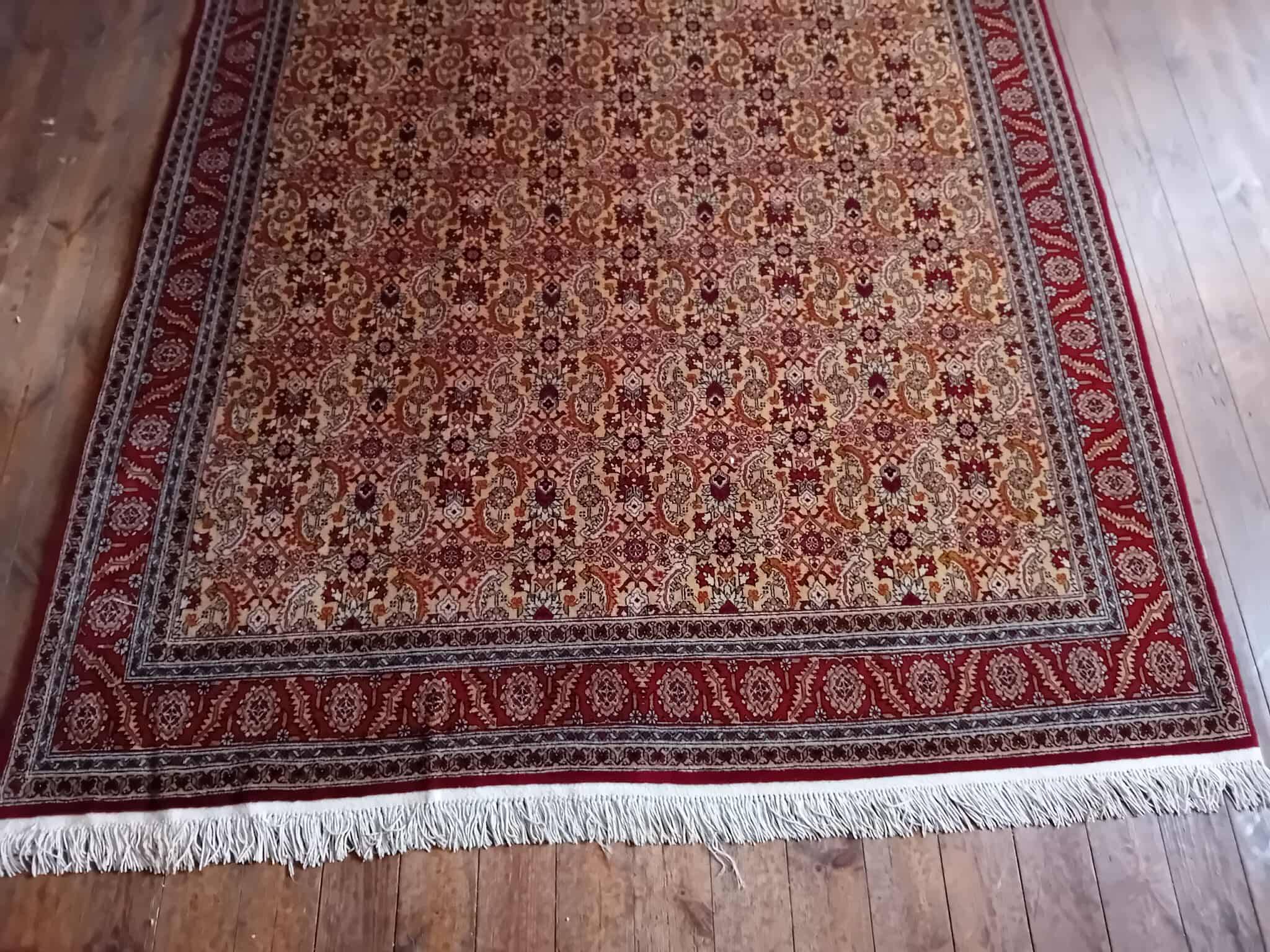 Handmade Shirvan Caucasian Rug 283x200ccm