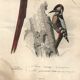 Antique engraving 1849 - Macaw by E. Travies - Vintage parrot lithograph