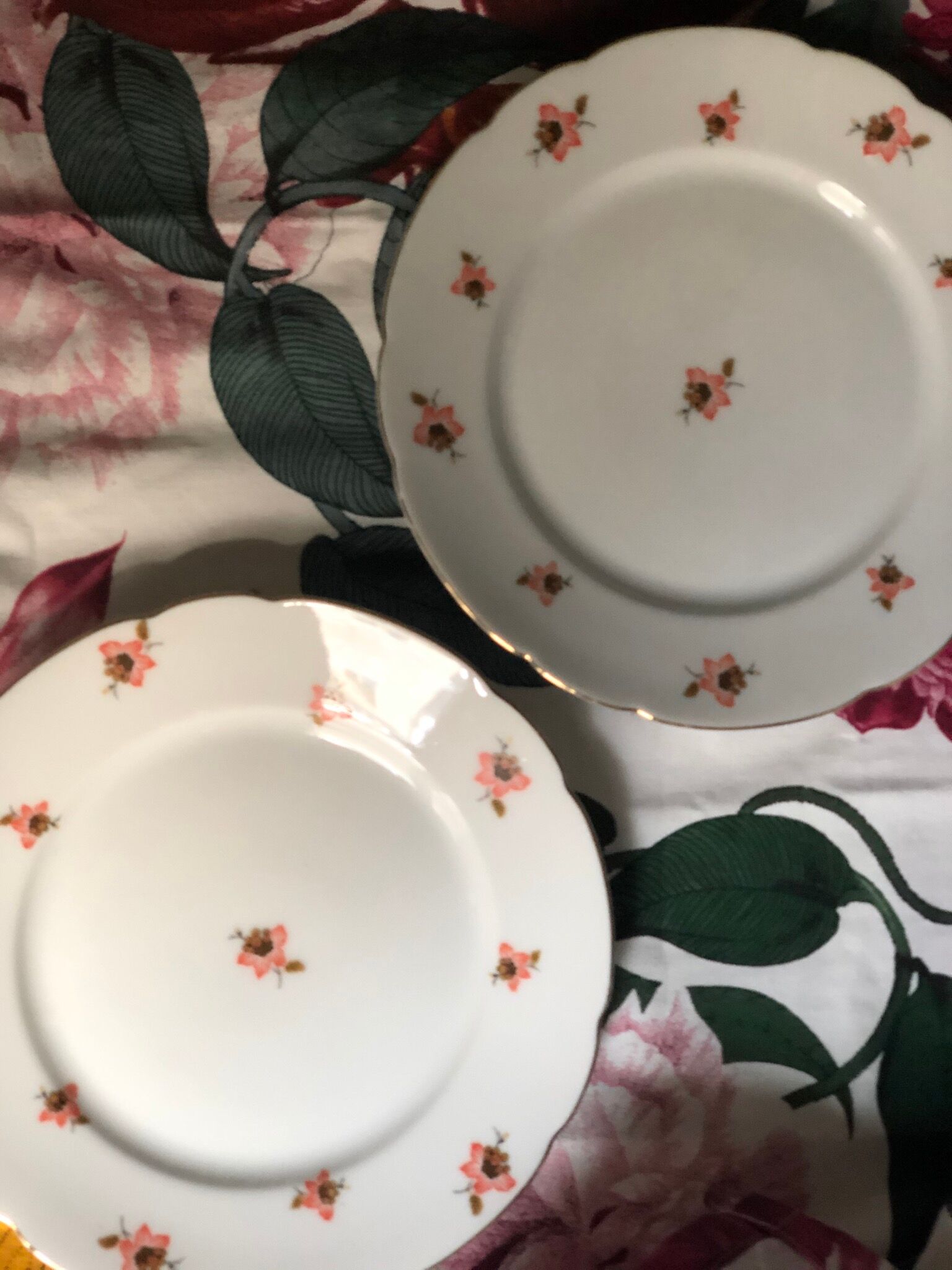 Porcelain Edelstein dessert plates