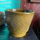 Cache pot