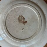 Mismatched set of 6 old flat plates