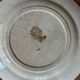 Mismatched set of 6 old flat plates