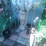 Tridacna shell (86 cm) – on base – rare and decorative