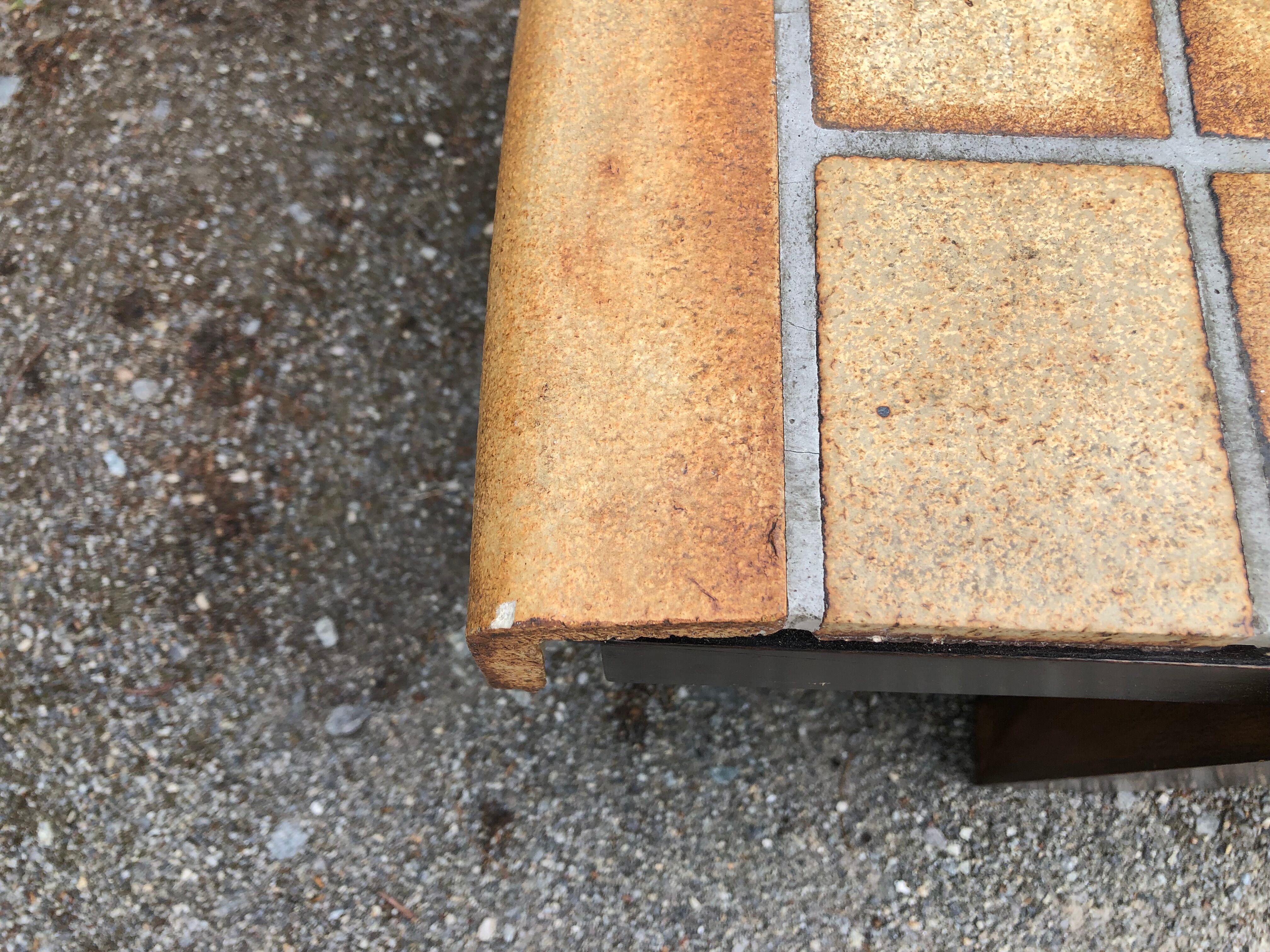 Vintage ceramic coffee table with herbarium decorations by Roger Capron, solid beech base.