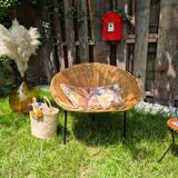 Fauteuil corbeille Terence Conran