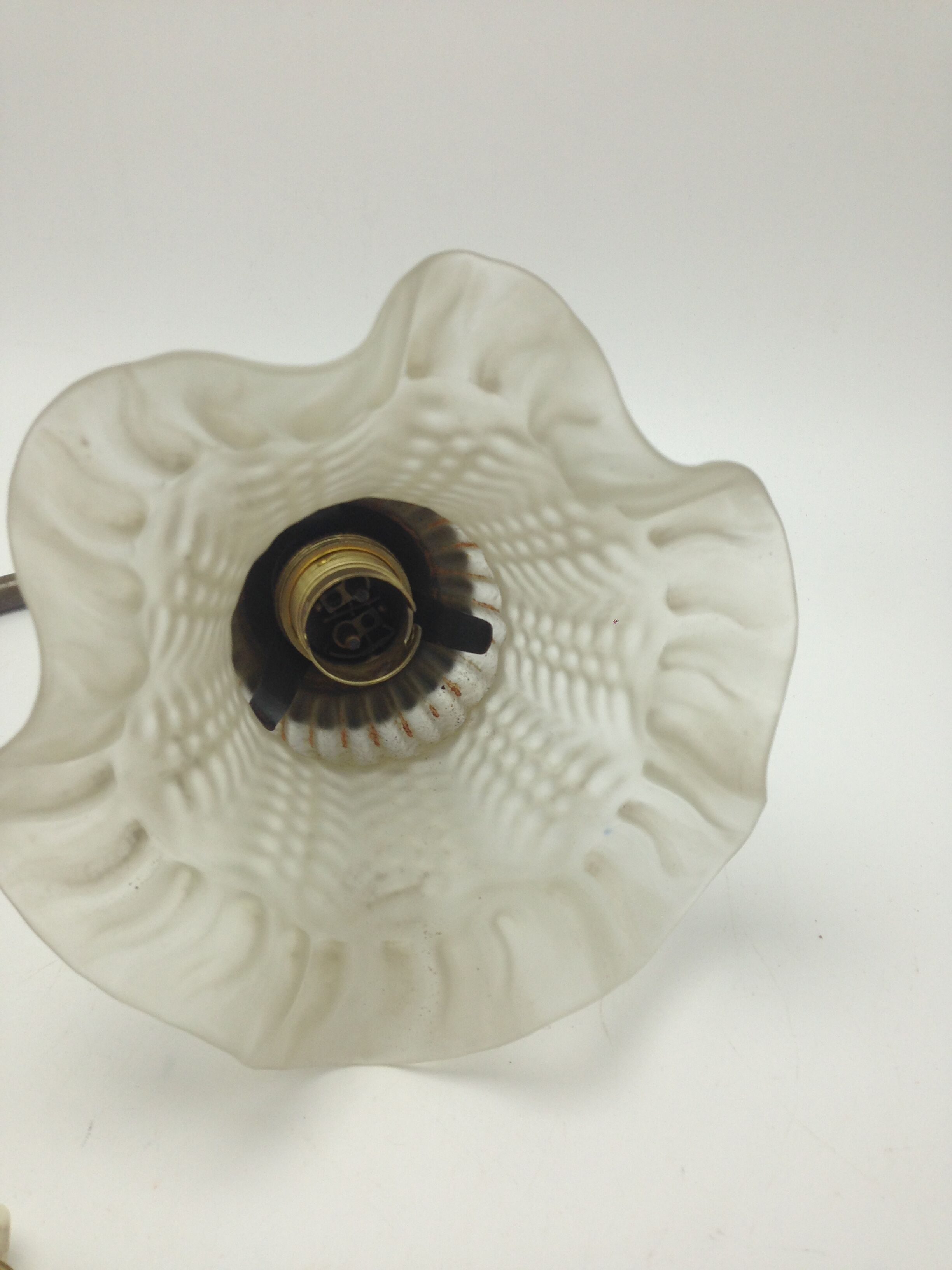 Old brass with tulip gooseneck light