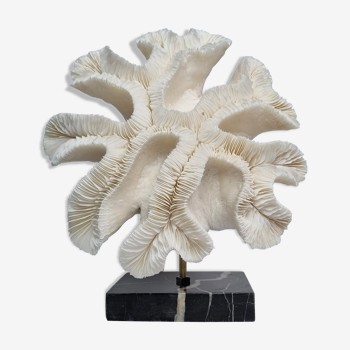 Ancien corail blanc "méandrine" sur socle en marbre noir veiné, 25 cm