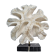 Old white coral "méandrine" on base in veined black marble, 25 cm