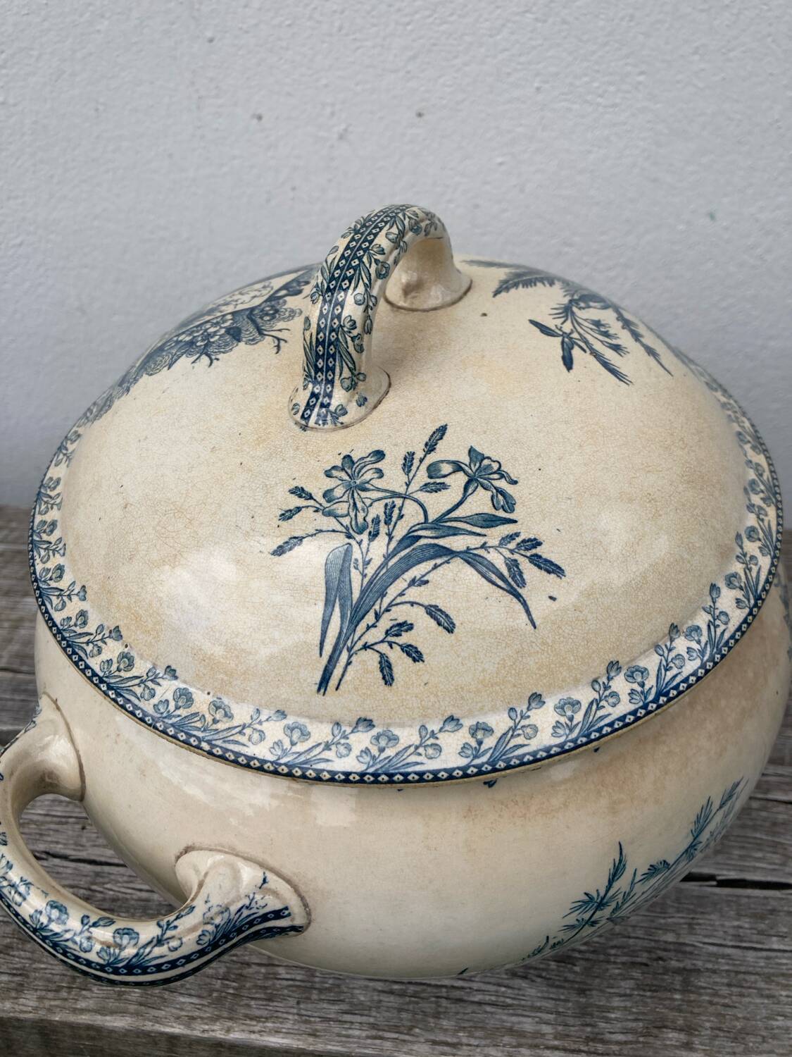 Earthenware tureen tureen Pexonne birds