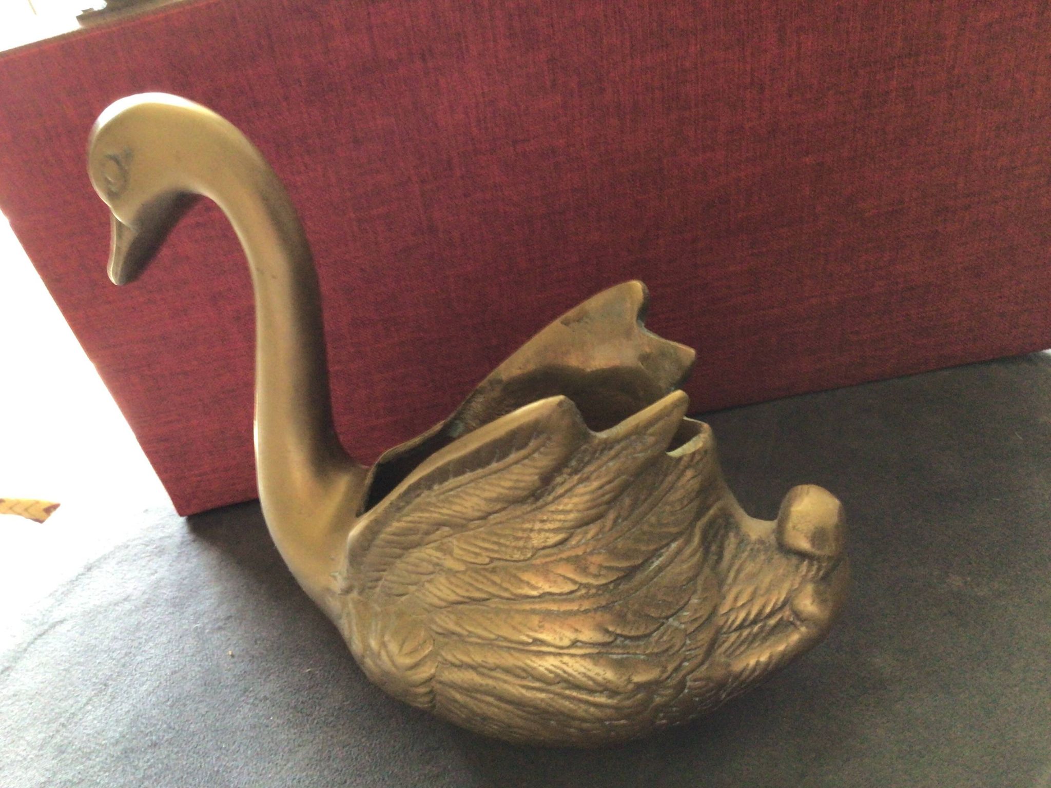 Cygne laiton