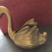 Cygne laiton