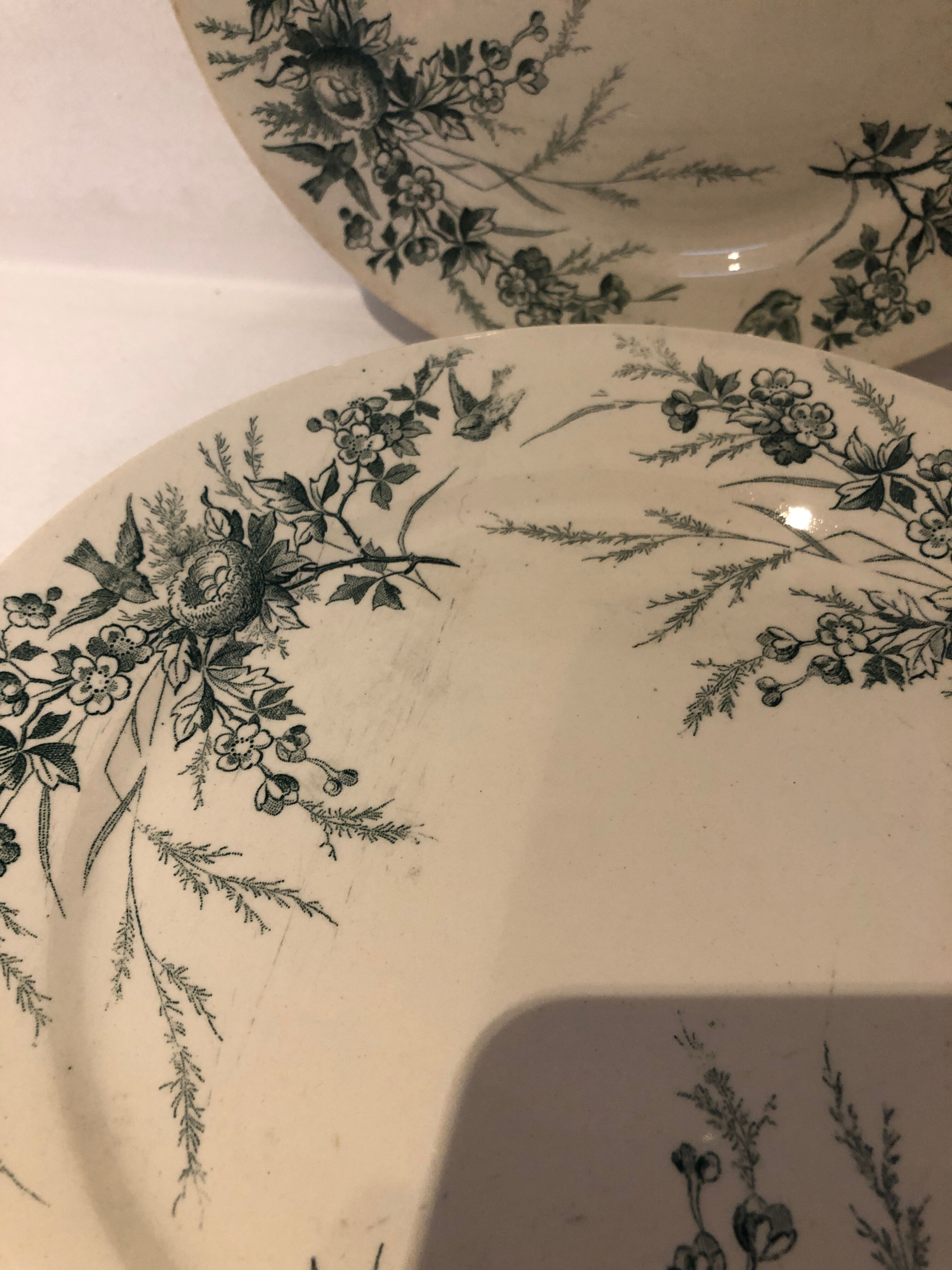 6 plates dessert linotte, Terre de Fer