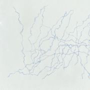 Drawing 21X29.7 made and signed by the Italian artist Maria Chiara Re. 2022.