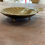 Empty pocket scallop shell