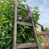 Old vintage painter's ladder