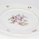 Lot de 5 assiettes Saint Amand ceranord