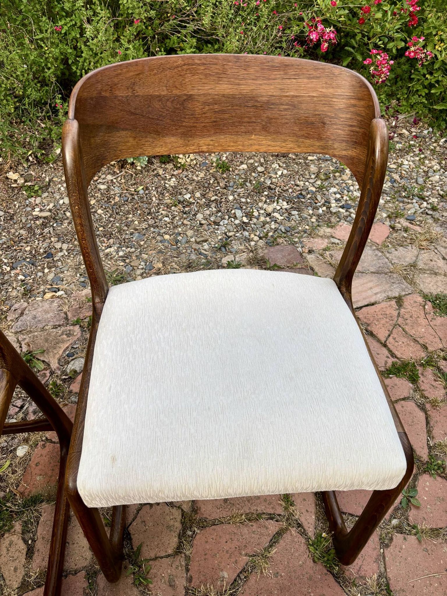 Four vintage Baumann sled chairs from the 1960s 1970s.