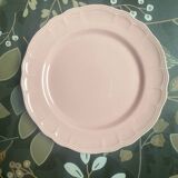 4 Salins pink flat plates
