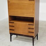 Office Secretary by Frantisek Mezulanik for Up Zavody 1960