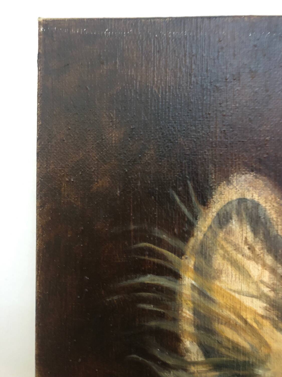 Oil on canvas dog portrait