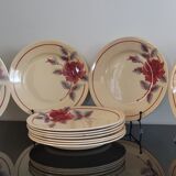11 Flat plates flower Moulin des Loups and hamage