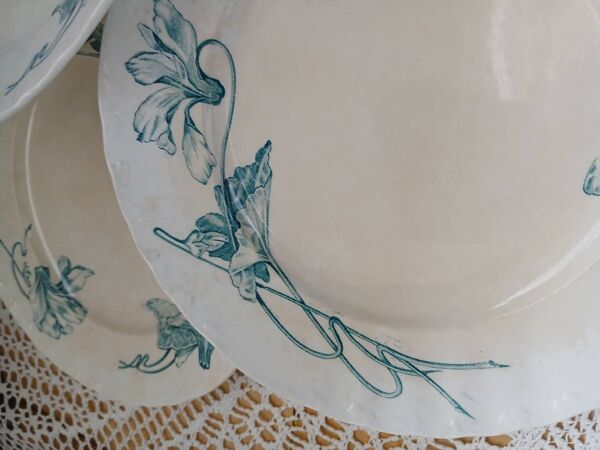 10 assiettes plates anciennes en Terre de fer