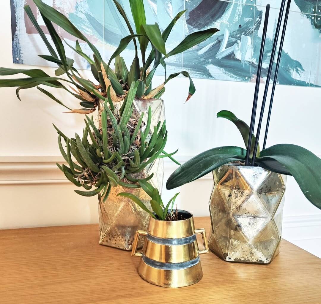Plant pot