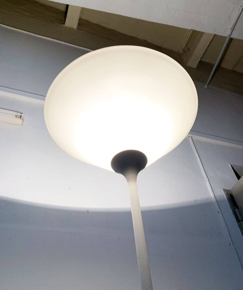 Swiss minimalist floor lamp from the mid-century by Temde, 1960s.