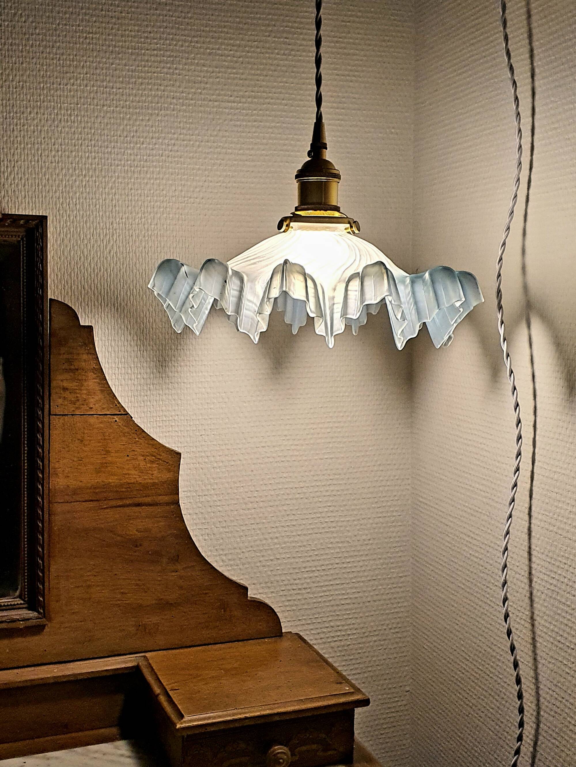 Lampshade portable lamp