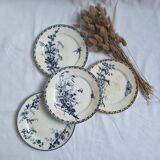 Vintage blue dinner plates