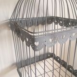 Cage birds to hang