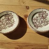 Datura plates iron earth