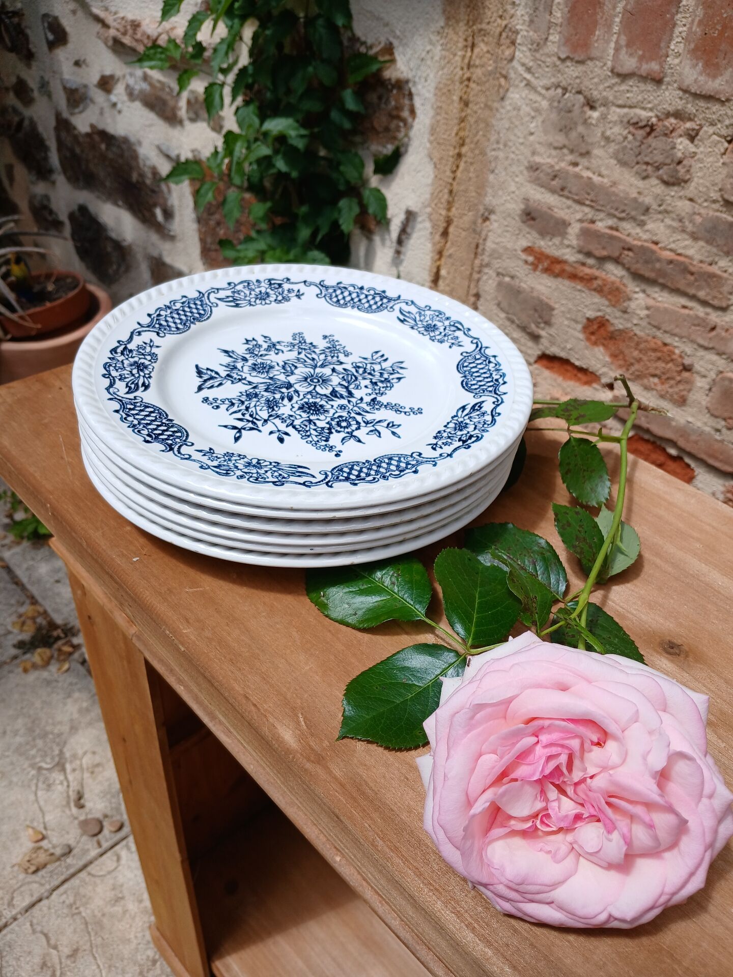 6 antique dinner plates