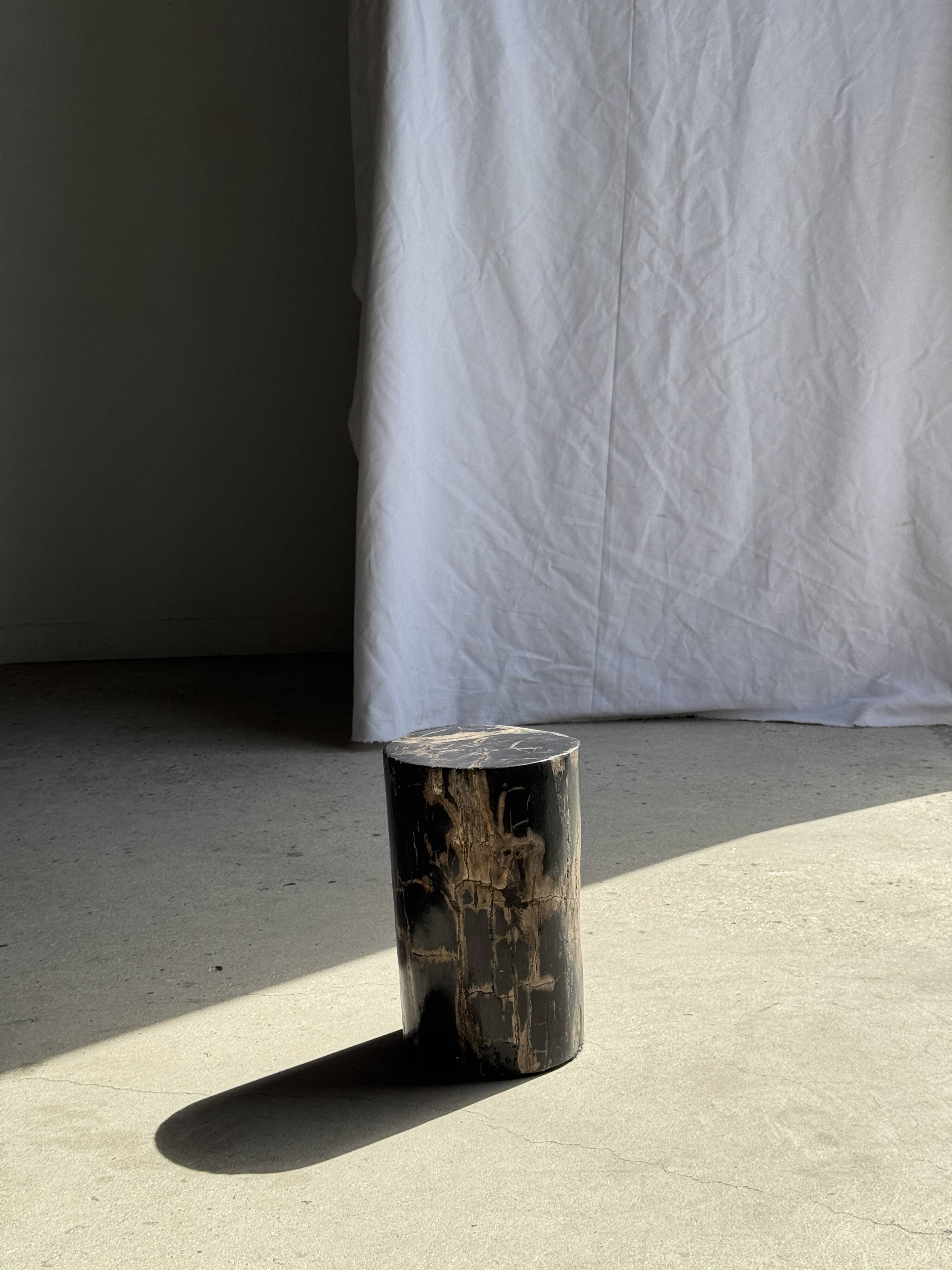 Table d'appoint en bois pétrifié noir